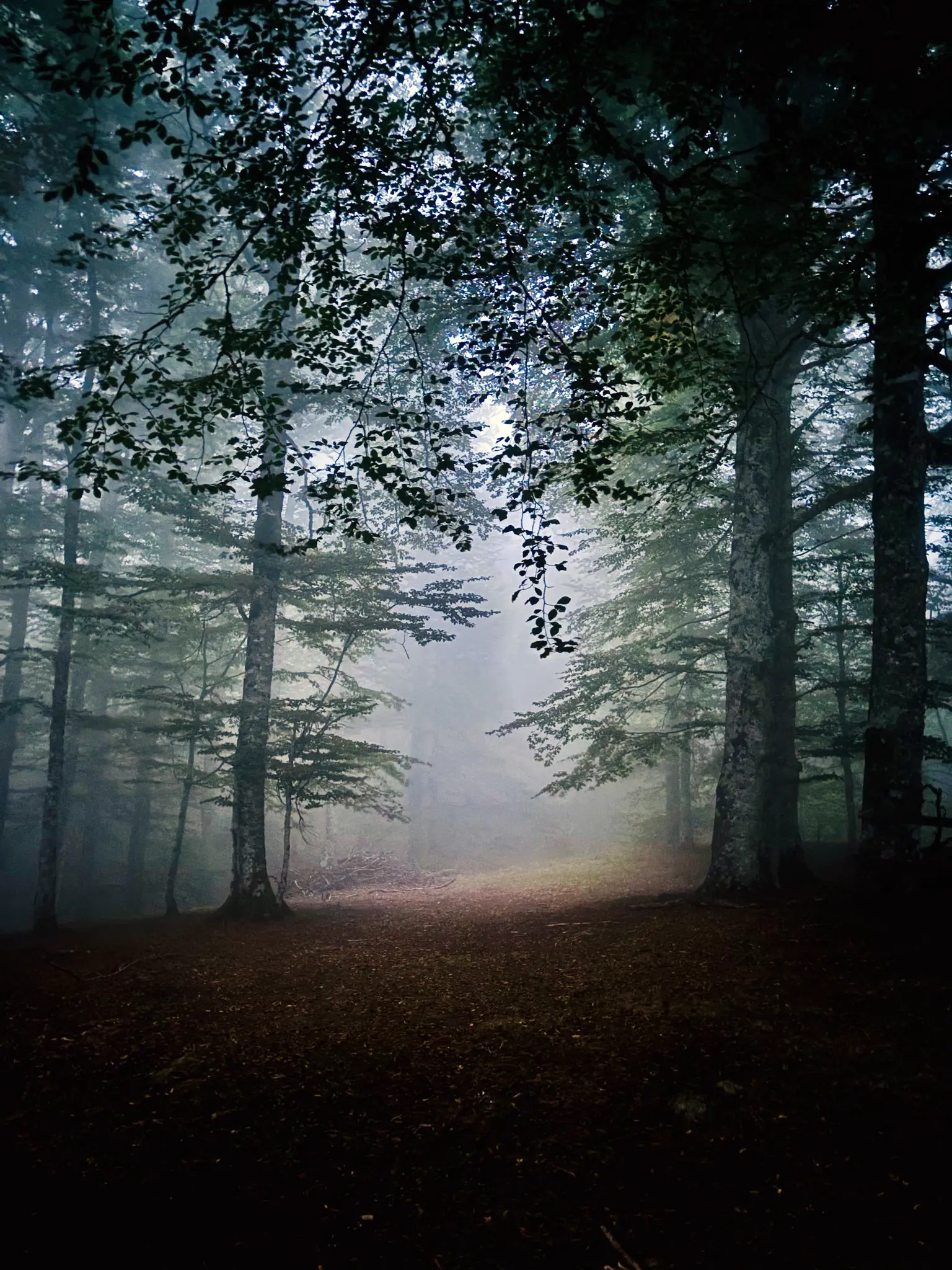 Retiros en las montañas del Pirineo con Nima