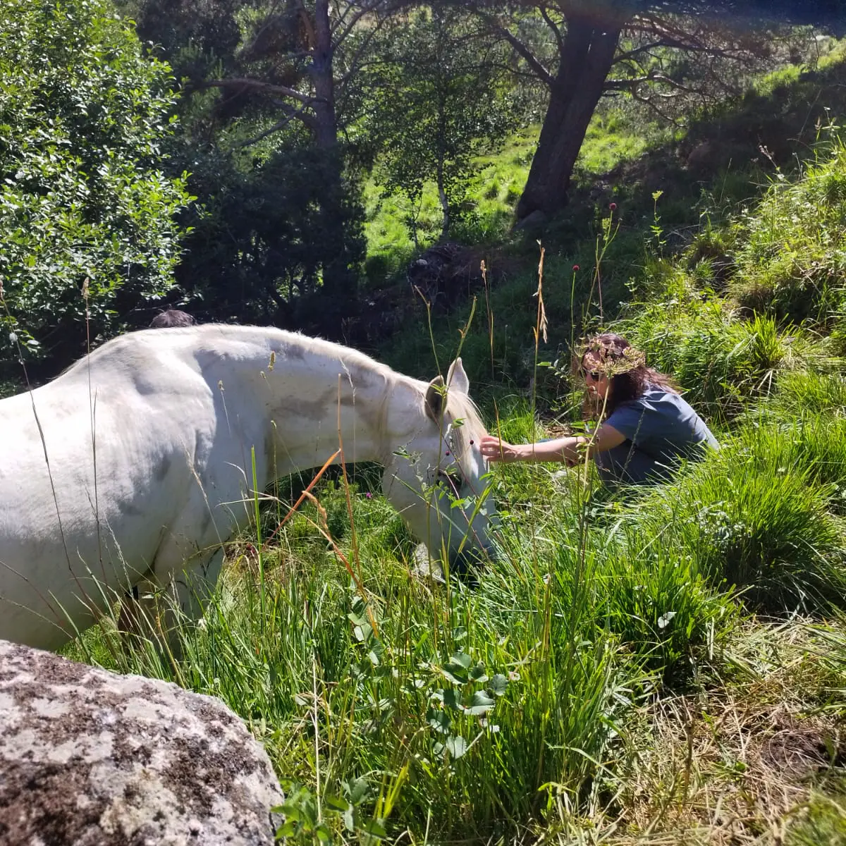 Fauna y flora pirenaicas