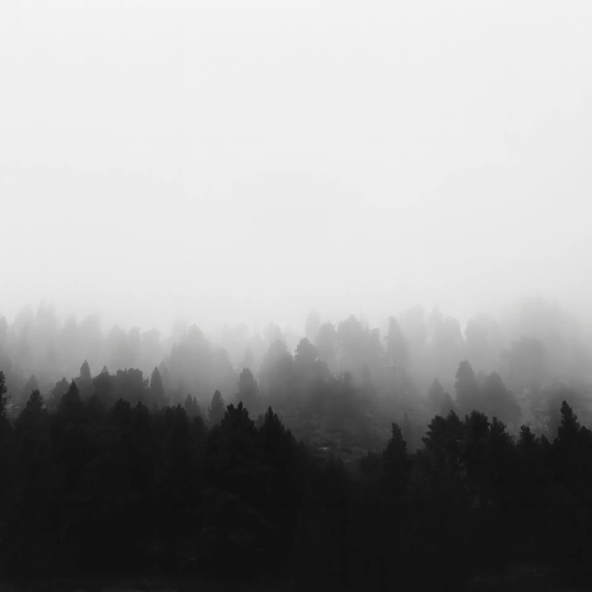 Retiros en las montañas del Pirineo con Nima