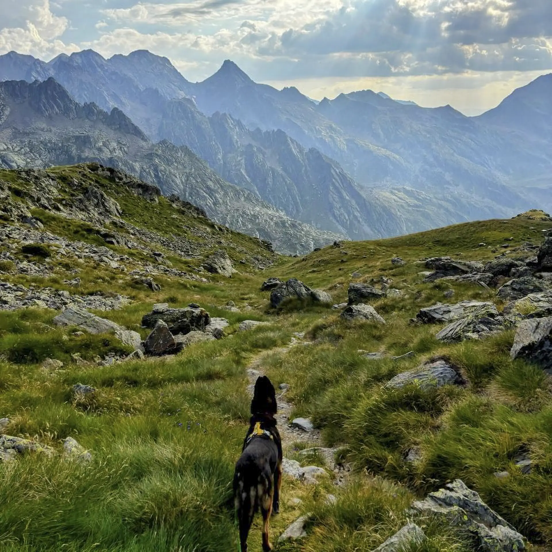 Experiencias de otoño: senderismo de setas, baños de bosque y círculos en la naturaleza