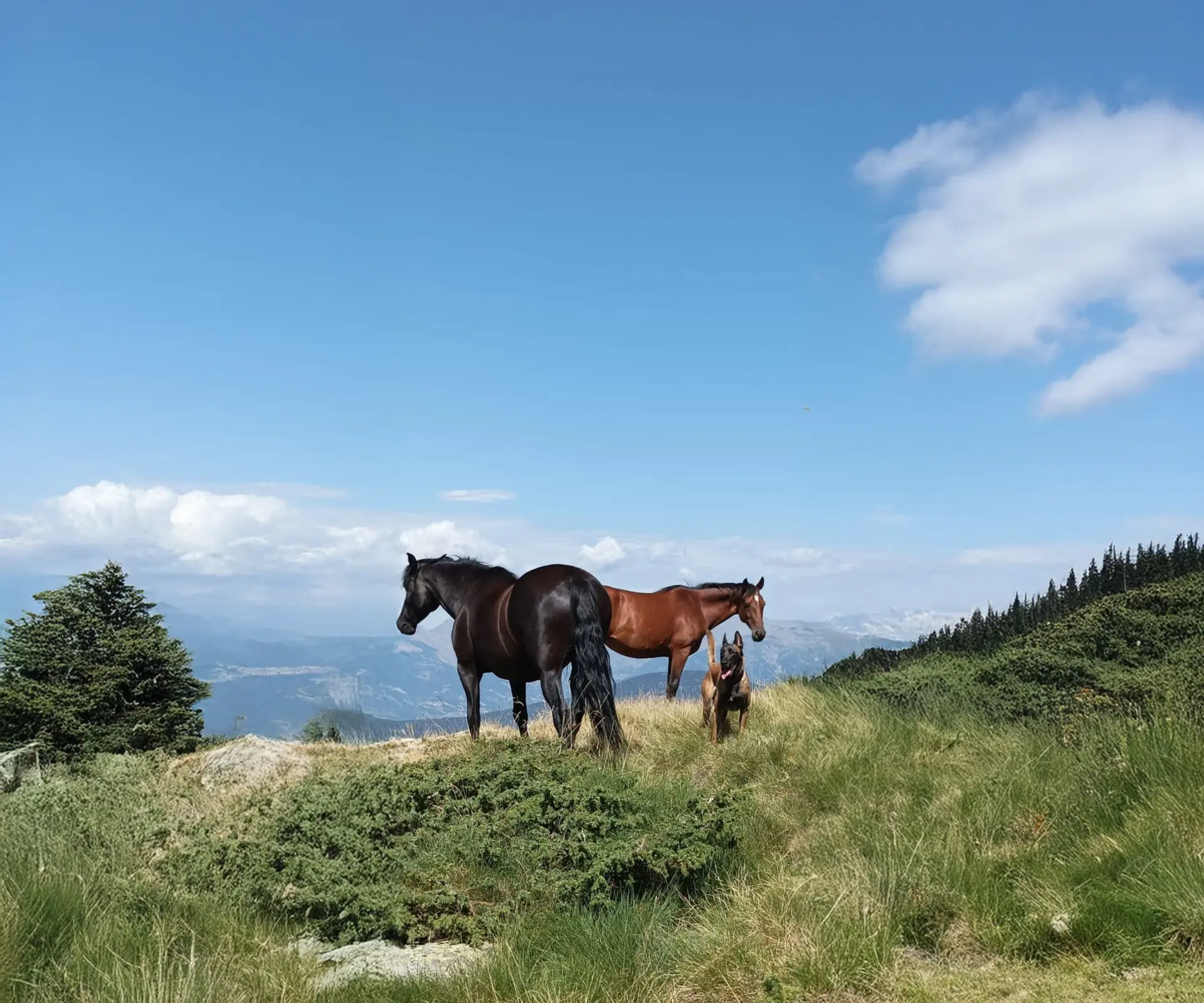 Otras experiencias: caballos, yoga y propuestas a medida en la naturaleza