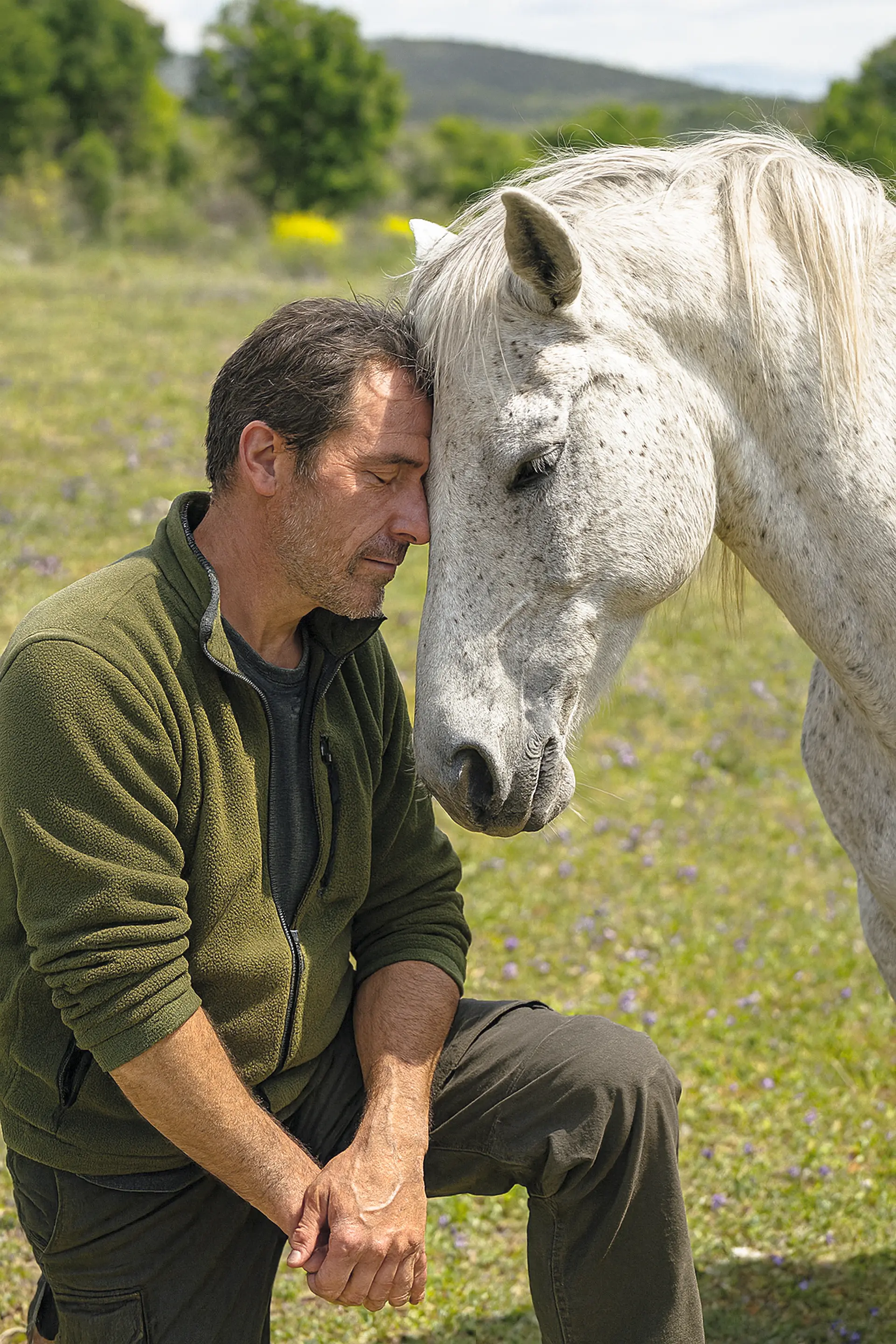 Constelaciones familiares con caballos